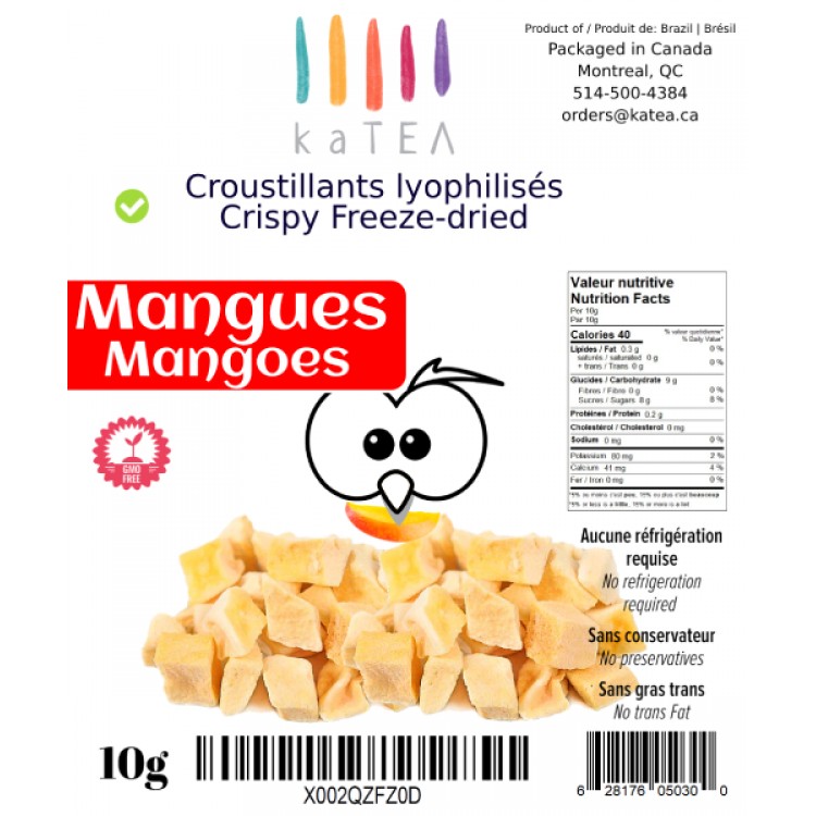 Freeze-Dried Mango Chips (10g)
